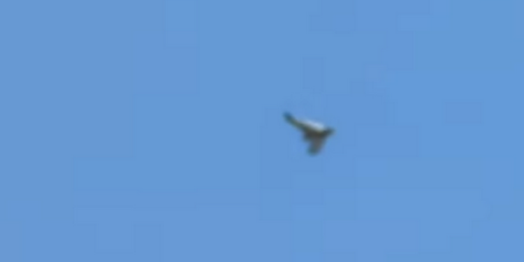 Волонтеры разработали уникальный беспилотник для нужд ВСУ