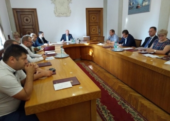 Николаевский исполком перенёс рассмотрение вопроса эвтаназии бездомных животных