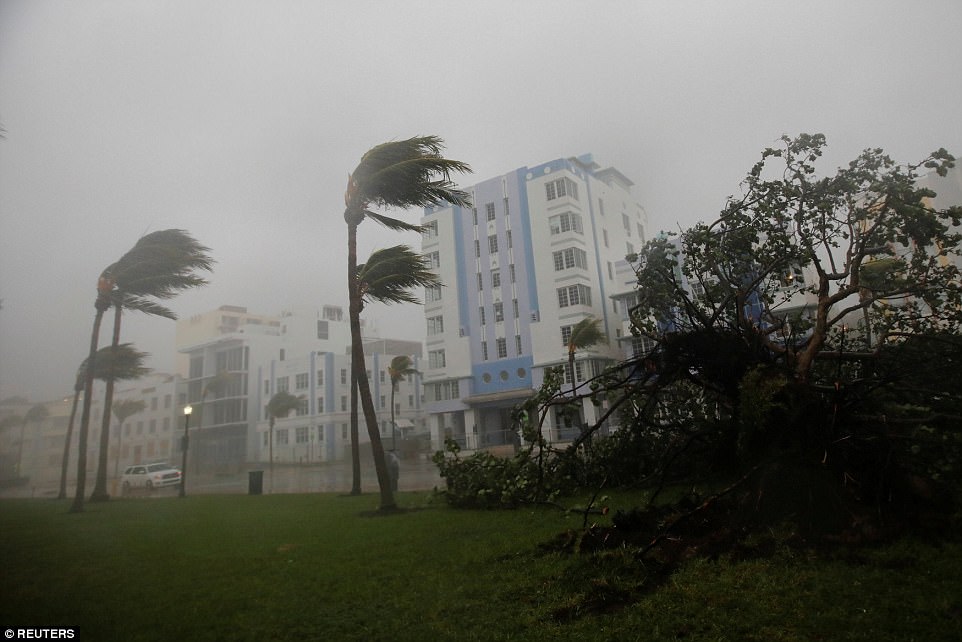 «Ирма» во Флориде: уже известно о 4 жертвах урагана 3