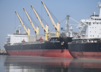 Николаевская «Ника-Тера» в два раза увеличила обработку судов Panamax