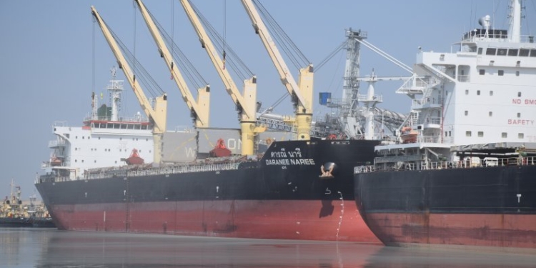 Николаевская «Ника-Тера» в два раза увеличила обработку судов Panamax