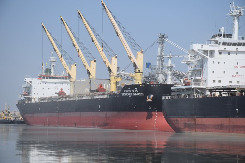 Николаевская «Ника-Тера» в два раза увеличила обработку судов Panamax 1