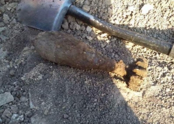 В Доманевке не приусадебном участке мужчина нашел минометную мину