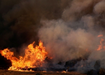 Пожар на заводе фейерверков, теперь в Индии: есть погибшие и пострадавшие