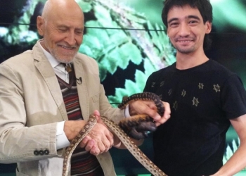 Любители ядовитых змей ошибаются один раз: в России в прямом эфире после укуса черной мамбы умер блогер