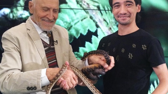 Любители ядовитых змей ошибаются один раз: в России в прямом эфире после укуса черной мамбы умер блогер