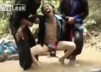 «Не бери меня за здесь!»: четверо друзей не сразу смогли помочь другу, которому краб вцепился в гениталии