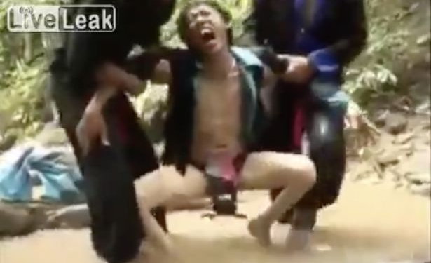 «Не бери меня за здесь!»: четверо друзей не сразу смогли помочь другу, которому краб вцепился в гениталии