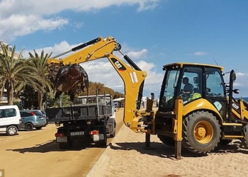 Гигантскую кожистую черепаху с испанского пляжа пришлось «убирать» с помощью экскаватора