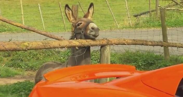 Кто ж на такой машине едет в село? В Германии суперкар McLaren 650S Spider стал жертвой осла