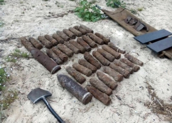Сколько ж еще взрывоопасных находок таит Березань? На этот раз нашли 37