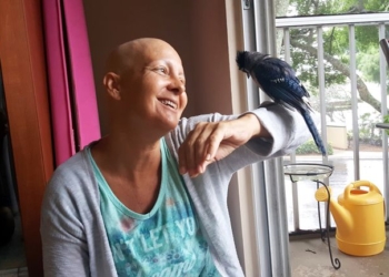 Во Флориде дикая голубая сойка, выкормленная женщиной 2 года назад, помогает своей спасительнице бороться с раком