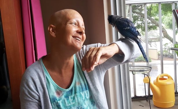 Во Флориде дикая голубая сойка, выкормленная женщиной 2 года назад, помогает своей спасительнице бороться с раком