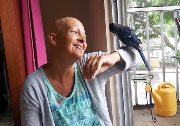 Во Флориде дикая голубая сойка, выкормленная женщиной 2 года назад, помогает своей спасительнице бороться с раком 1