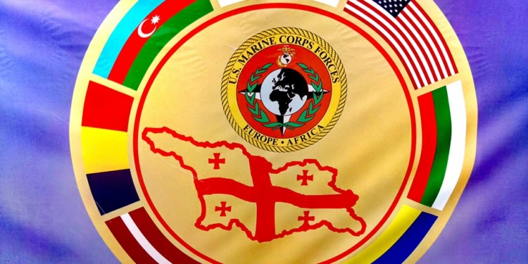 Снова в Грузии: Николаевские морпехи принимают участие в учениях «Agle spirit-2017»