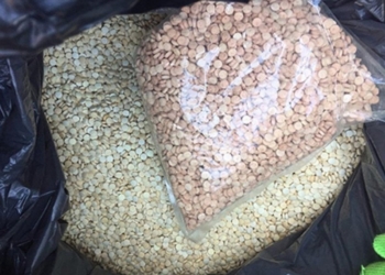 В Одессе изъяли 355 кг психотропного вещества – товар на черном рынке стоит $15 млн