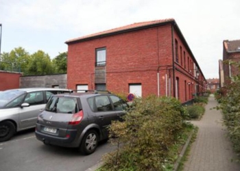 Жуть: во Франции прикованную к постели девочку искусали крысы