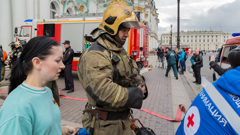 В Санкт-Петербурге горел «Эрмитаж» - пострадали четыре музейных кота 1