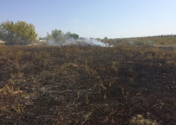 На Николаевщине снова горел сухостой – огонь «прошел» 22 гектара