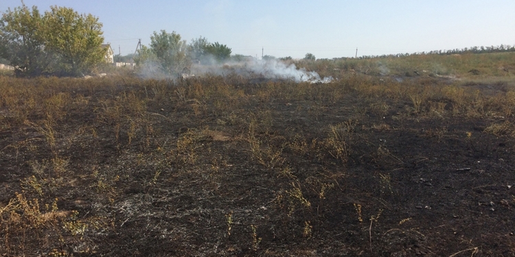 На Николаевщине снова горел сухостой – огонь «прошел» 22 гектара