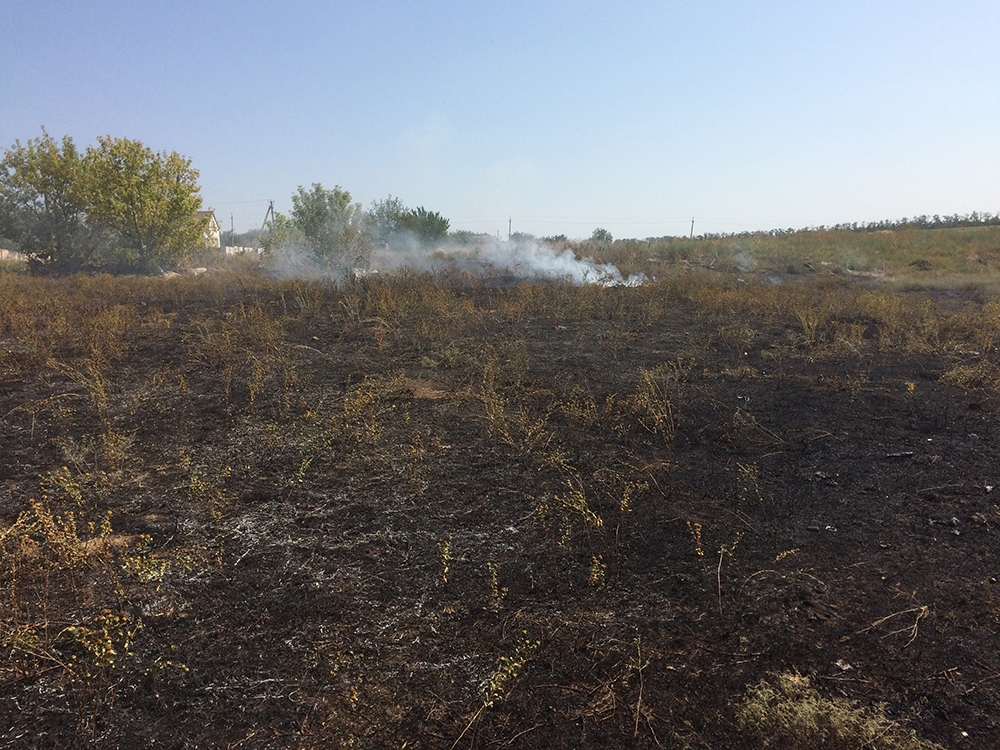 На Николаевщине снова горел сухостой – огонь «прошел» 22 гектара 3
