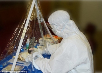 Homo sapiens появились никак не раньше, чем 260-350 тысяч лет назад – результат ДНК-анализа