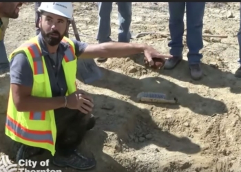 В США на стройплощадке откопали останки динозавра – трицератопса, им 66 млн. лет