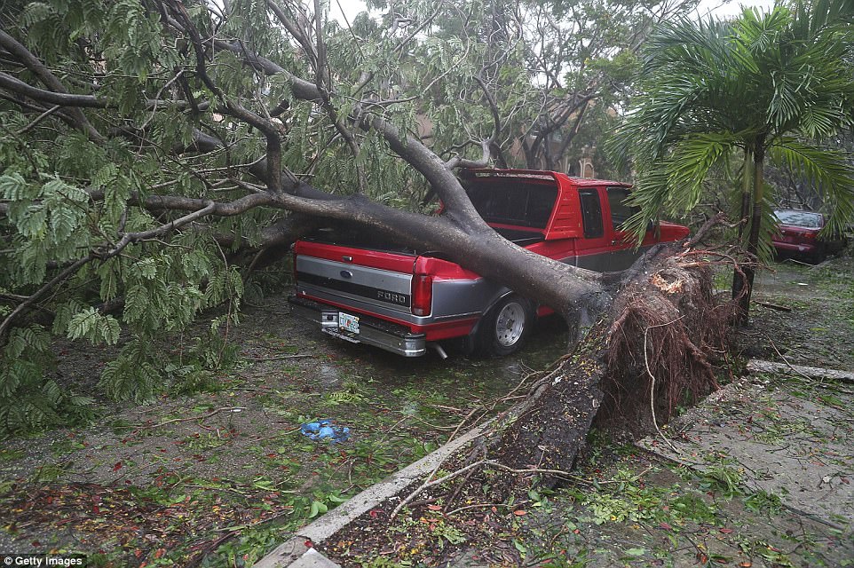 «Ирма» во Флориде: уже известно о 4 жертвах урагана 1