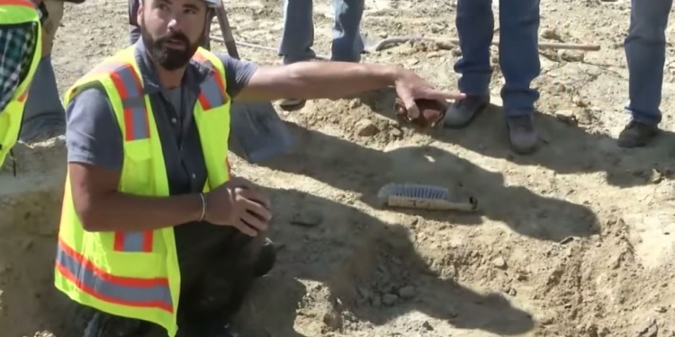 В США на стройплощадке откопали останки динозавра – трицератопса, им 66 млн. лет