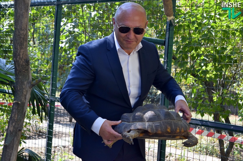 Когда «квартира» хороша, то и род продолжать хочется: тропические черепахи по достоинству оценили новый вольер, открытый в день 116-летия Николаевского зоопарка 33