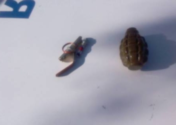 В Веселиновском районе хулиганил пьяный молодой человек с гранатой