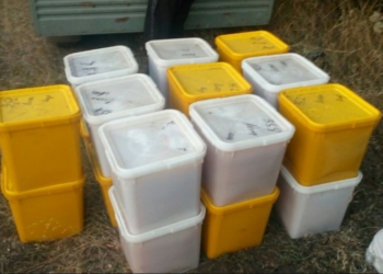 Чтобы не дать вывезти в Россию 2 тонны меда и 2 тонны пчелиной пыльцы, украинским пограничникам пришлось стрелять