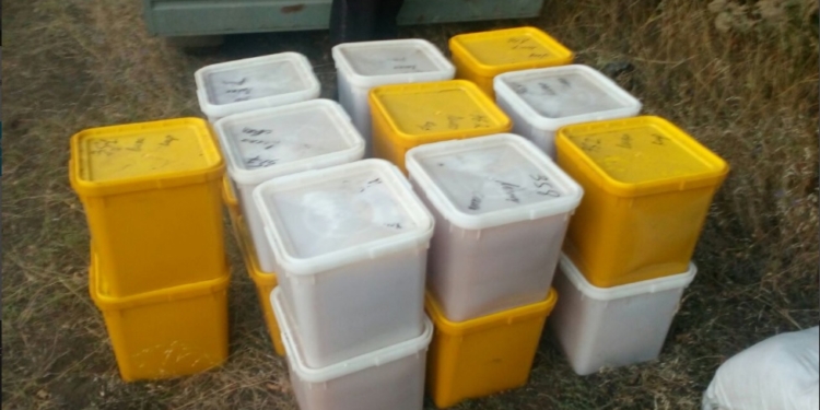 Чтобы не дать вывезти в Россию 2 тонны меда и 2 тонны пчелиной пыльцы, украинским пограничникам пришлось стрелять