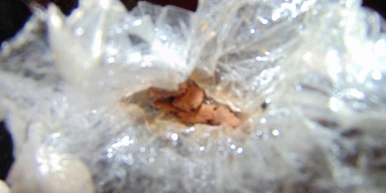 На Николаевщине «вскрыли» сеть «закладчиков» – изъято 5 л ацетилированного опия на 750 тыс.грн., найдено 25 тайников с наркотиками