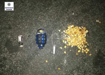 В Ингульском районе Николаева прохожий нашел предмет, похожий на гранату Ф-1