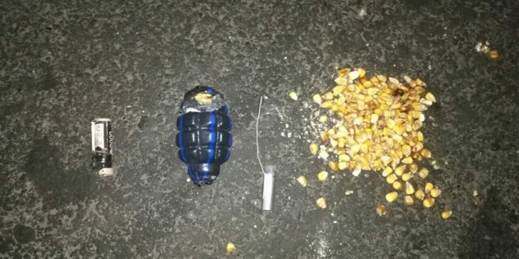 В Ингульском районе Николаева прохожий нашел предмет, похожий на гранату Ф-1