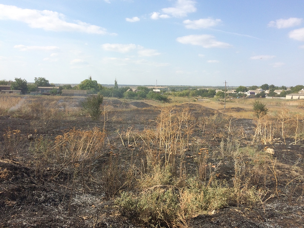 На Николаевщине снова горел сухостой – огонь «прошел» 22 гектара 1