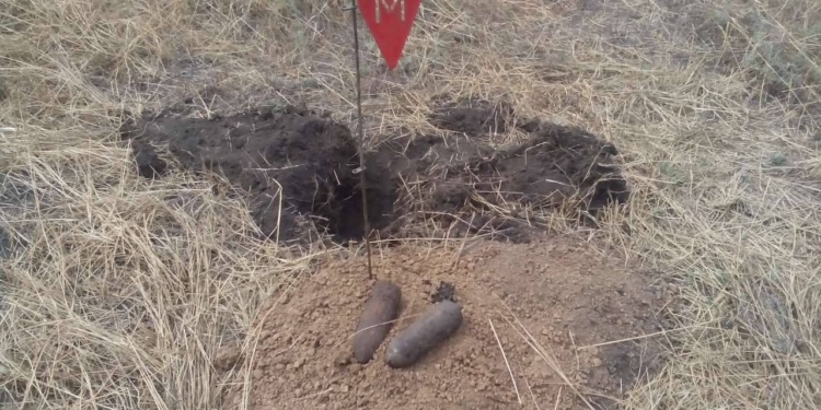 Найти и обезвредить. В Николаевской области в рамках программы по разминированию уничтожили снаряды