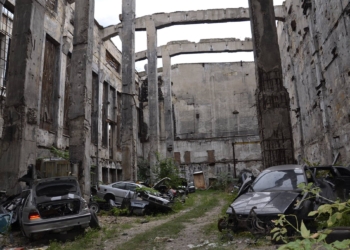 В Николаеве обнаружили подпольное СТО для «BMW» – с разборкой “нелегалов” и кладбищем машин