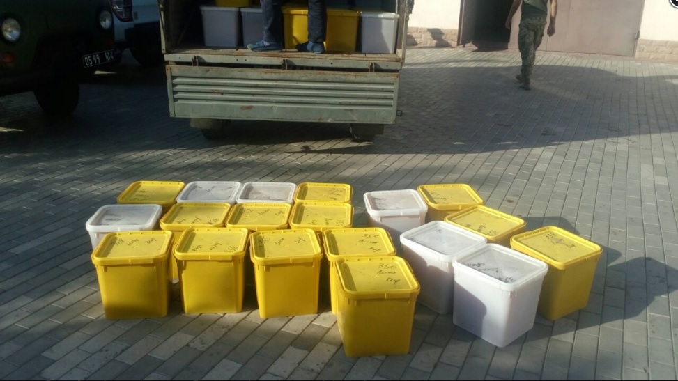 Чтобы не дать вывезти в Россию 2 тонны меда и 2 тонны пчелиной пыльцы, украинским пограничникам пришлось стрелять 5