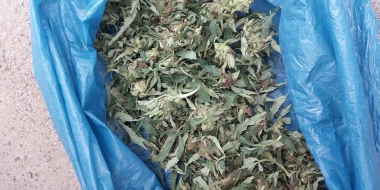 В Николаеве 16-летнего задержали с большим полиэтиленовым пакетом конопли