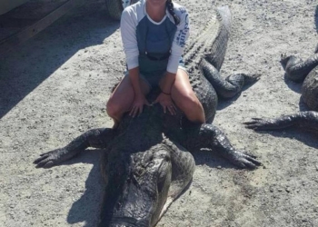 Не ради развлечения, а ради еды: многодетная мать в США стала самым удачливым охотником на аллигаторов