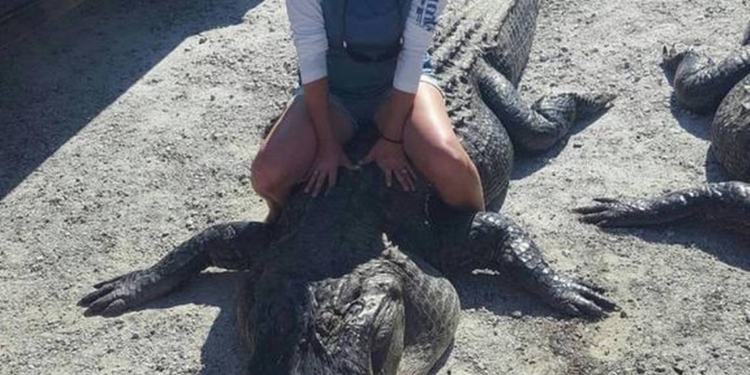 Не ради развлечения, а ради еды: многодетная мать в США стала самым удачливым охотником на аллигаторов