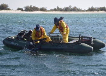Николаевские спасатели снова занялись разминированием Кинбурнской косы: уже найдено 110 взрывоопасных предметов