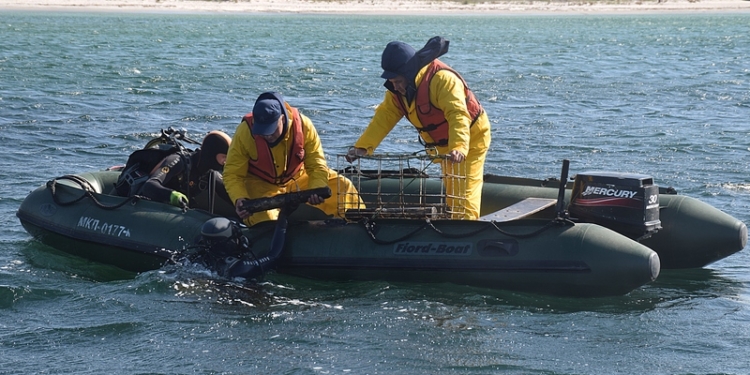 Николаевские спасатели снова занялись разминированием Кинбурнской косы: уже найдено 110 взрывоопасных предметов