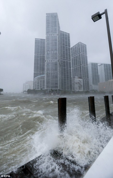 «Ирма» во Флориде: уже известно о 4 жертвах урагана 7