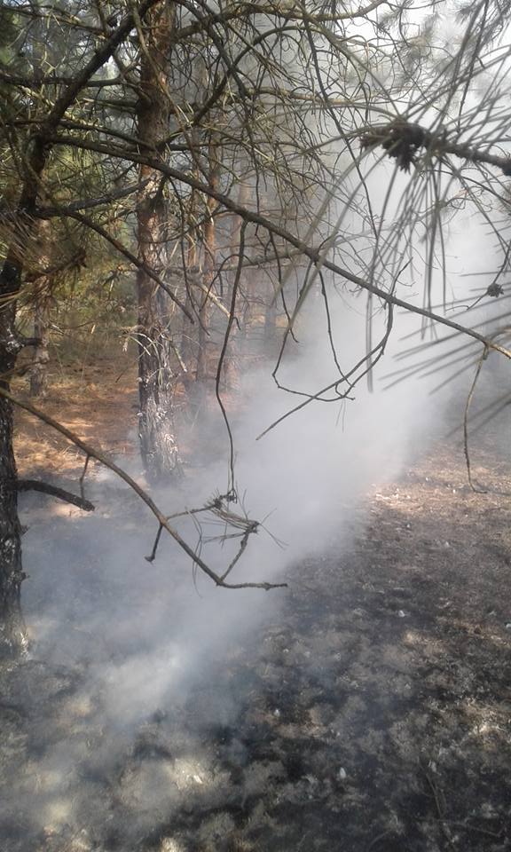На Кинбурне горел лес – тушили сообща 7