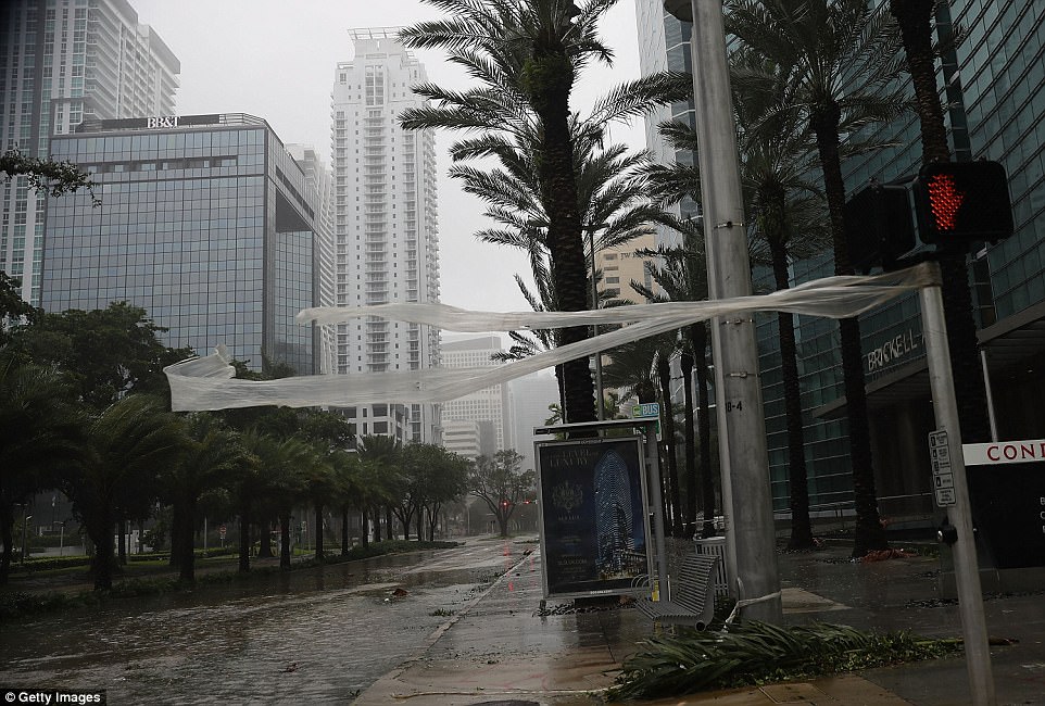 «Ирма» во Флориде: уже известно о 4 жертвах урагана 11