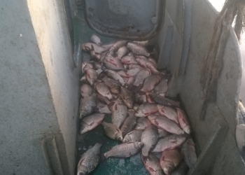 Николаевский рыбоохранный патруль выявил двух нарушителей, которые нанесли ущерб на 32 тыс. грн.