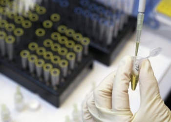 Ученые разработали камеру, которая может видеть сквозь тело человека